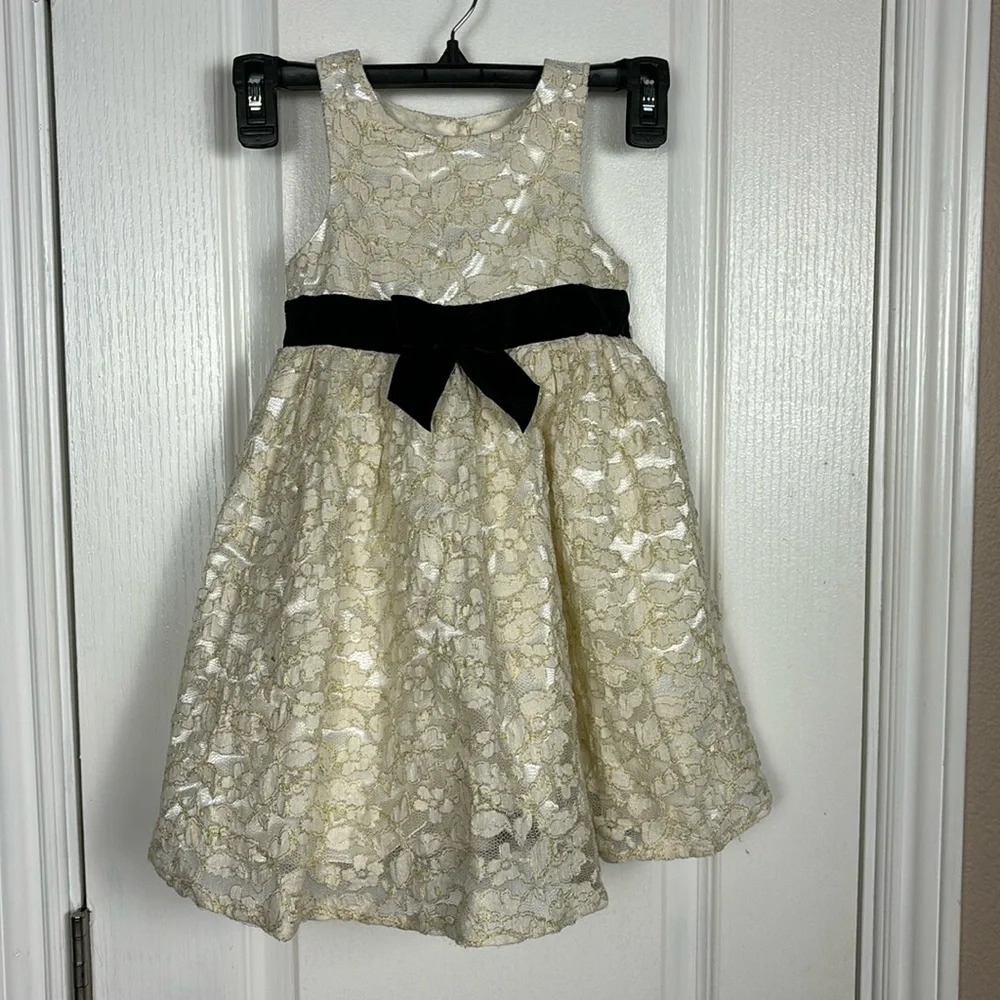 Cherokee Girl's Sleeveless Embroidered Tulle Umpire Party Festive Dress Size 5T